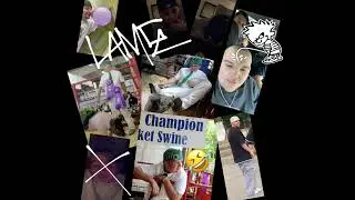 Gaylifo