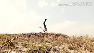Lone parkour and Free Running  by Ri O lipon