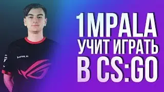 1mpala УЧИТ ИГРАТЬ В CS:GO | Twitch Play #6