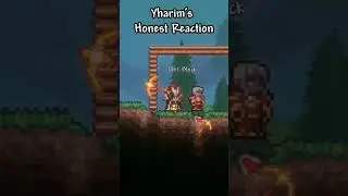 Yharim's honest reaction to Calamity