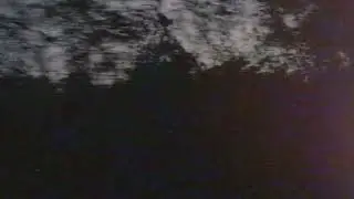 Under the trees - ร่วงโรย (Official Video)