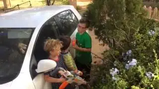 Zombie apocalypse