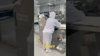 CE Approved Steam Bao Bun Production Line #machine #food #factory