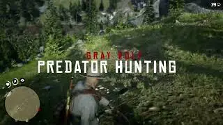 Serigala di RDR2: Bunuh Satu, Datang Satu Kawanan