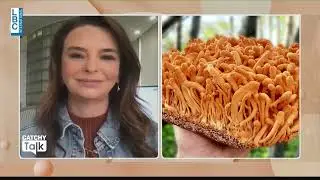 Types of mushroom