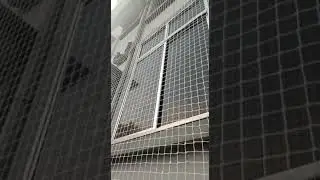 Pegion net