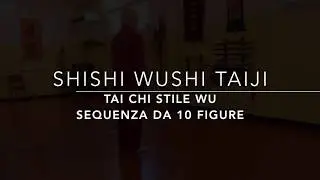 ShiShi Taiji stile Wu
