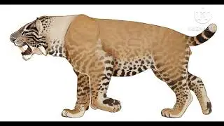 Smilodon populator