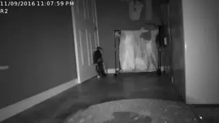 Caught on Camera!  Ms. Kookie = cat or raptor = baaaaaddd kitty