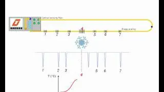 K-FBG Monitoring principle.avi