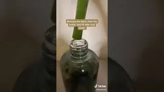 How to Upcycle our BHA Pore-Minimizing Toner Bottle | Beauty | Skincare