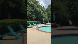 Poolside Paradise piscine🏊statut WhatsApp Instagram