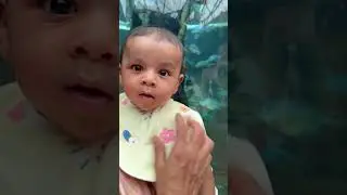 marine kingdom video 3 | vgp aquarium #dineshaziel