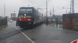 GTS Rail E.483.060 | Transito Merci Intermodale Infinito a Novara (LKW Walter - Maersk)