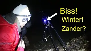 Livebiss! Im Winter mit Köderfisch und Grundblei auf Zander! Ansitzangeln geht immer!