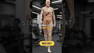 WHY YOUR BELLY FAT WON&rsquo;T GO AWAY