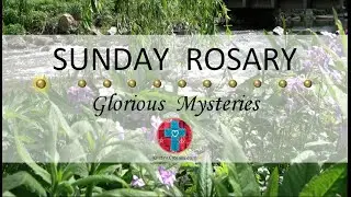 Sunday Rosary • Glorious Mysteries of the Rosary ❤️ June 29, 2025 - Multiple Languages Available!
