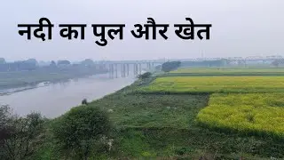 नदी का पुल और खेत | river side bridge and farming 