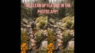 #62 | The Clean Up feature in the Photos app!