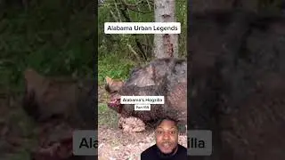 Alabama Urban Legends Part 159 #alabama #knowalabama #alabamamysteries #paranormal #urbanlegend