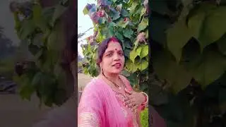 Likhdi na hamro hajriya ye guruji 🙏🕉️#shivcharcha #geet #bhajan #shorts #video #ytshorts