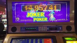 Joker Poker High Limit - Chasing the BIG Progressive Jackpot! #videopoker #casino #gambling