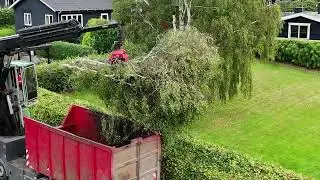 Tr&aelig;f&aelig;ldning i sommerhusomr&aring;de med Mecanil savgrab