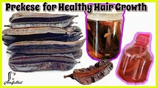 PREKESE | tetrapleura | tetrapleura for healthy hair growth | PREKESE for healthy hair growth
