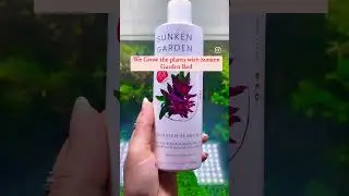 Unlock the Secrets to a Lush Aquarium: Transform Your Tank Now!