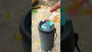 Baby shark jbl bass test