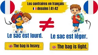 Connais-tu les mots opposés en français ? | Phrases simples A1–A2 🎯