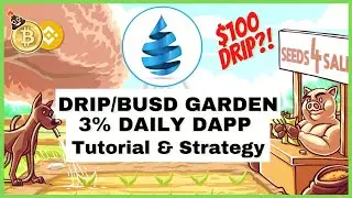 КАПЕЛЬНЫЙ САД ВЗОРВЁТСЯ! : 3% в день на DRIP/BUSD : Учебное пособие и стратегия