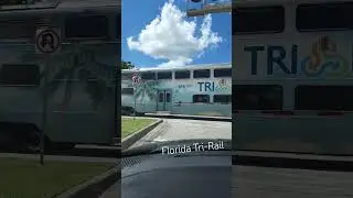 Florida trip 2023 #trirail #train #trains #shorts #railroad #railspotting #railfanning