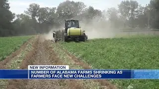 Number of Alabama farms shrinking as farmers face new challenges