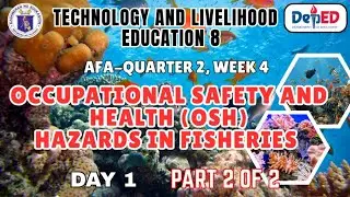 TLE 8-AFA, квартал 2, неделя 4, день 1 и 2