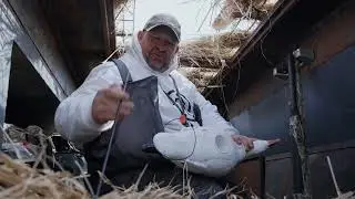 Advantages of Running Rugged Series Full Body Snow Goose Decoys