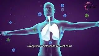 Asentar Global Supreme health Cell food products