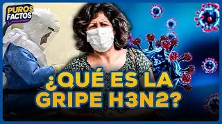 Gripe H3N2: qu&eacute; es y por qu&eacute; preocupa a la OMS  | SEGMENTO #PurosFactos