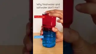 Explain why saltwater and freshwater don&rsquo;t mix