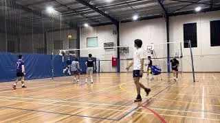 Western ravens training - 27 nov 2025