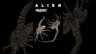 Alien - Лицехват  #alien #aliens #alienisolation #aliendarkdescent #facehugger  #чужой