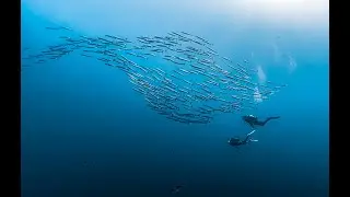 Beyond The Expected | Explore Experience Embrace | Aqualung Scuba Diving