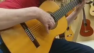 Richard Brune plays  flamenco on  guitar by Pavel Gavryushov