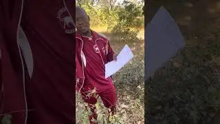 Latrou massa BARRO 48