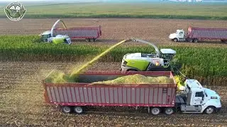 8.2 Million Acres of Fodder Crops Are Harvested in America This Way | Agriculture Technology