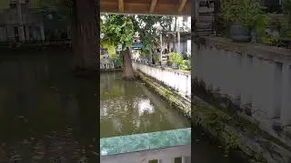 IKAN BAKAR