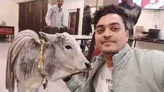 11th mini vlog... panipuri special 😂