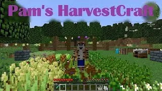 Pam's HarvestCraft Mod Showcase (MineCraft 1.12.2)