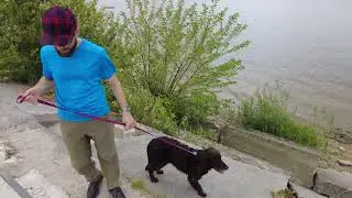 🐟 Sandacz Otmuch&oacute;w [daily vlog #71]