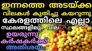 Today's closing prices | 10/01/2025 | Manojnediyackal rubber tapping